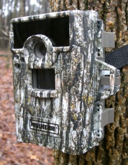MOULTRIE TRAIL CAM A20